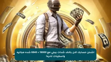 اشحن حسابك الآن بآلاف شدات ببجي مع 18000 + 6840 شدة مجانية وأسكينات نادرة!